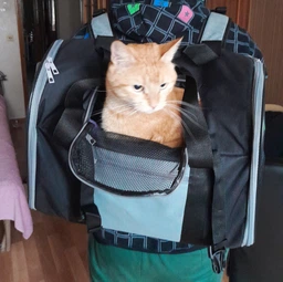 Рюкзак-переноска для собак и кошек Trixie TBag 42 х 29 x 21 см до 8 кг Черный с серым (4011905028828)