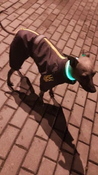 Комбінезон Pet Fashion COLD для собак сірий 5XL фото від покупців 1