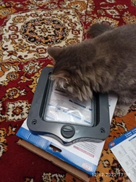 Двері для котів Trixie двосторонні 20 х 22 cм Сірі (4011905442020) фото від покупців 16