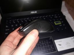 Мышь A4Tech G9-500F-1 Wireless Black (4711421859448) фото от покупателей 5