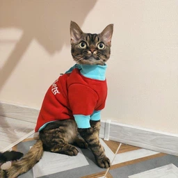 Кофта для кота или кошки Style Pets sp-red0819/l S фото от покупателей 3