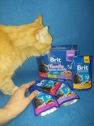 Упаковка влажного корма для кошек ассорти из 4 вкусов Brit Premium Cat pouch 12 шт*100 г фото от покупателей 9