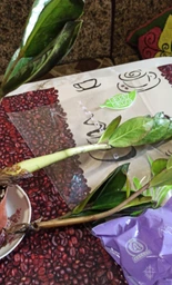 Заміокулькас (Zamioculcas, Доларове дерево), висота 30 - 40см, 12" горщик (RG145) фото від покупців 11