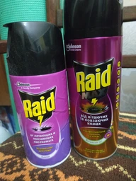 Аэрозоль против летающих и ползающих насекомых Raid Весенний луг, 300 мл