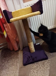 Когтеточка Pet Goods "Пушистик" столбик с диваном (джут) шоколад с бежевым 30х33х50 см (4820216672015) фото от покупателей 7