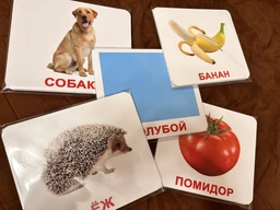 Доман. Карточки. МОЙ ПЕРВЫЙ ЧЕМОДАН”. На русском языке. Подарочный набор карточек. фото от покупателей 1