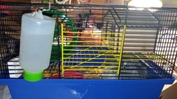 Дом для грызунов Lucky Pet для хомяков и декоративных мышей 16x10x10 см (4820224219608) фото от покупателей 1