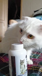 Вітаміни Provet PROFILINE для котів УРІНАРІ комплекс для поліпшення функції сечовивідної системи 180 таб фото от покупателей 1