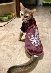 Теплая кофта для котов (кошек) Style Pets FaceSPM (KM/FSPM/br) из махровой ткани XXL фото от покупателей 6