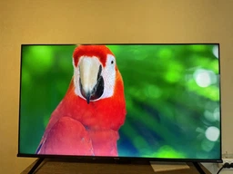 Телевізор HISENSE 55E7HQ фото від покупців 17