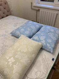 Подушка Пухова Мілана Тік наповнювач 100% гусячий пух чохол 100% бавовна 50х50 см (art: Olexandro) фото від покупців 10