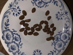 Сухий корм для кішок Purina Cat Chow Hairball проти утворення волосяних кульок 1.5 кг (5997204514486) фото від покупців 7