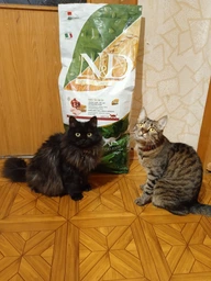 Сухой корм Farmina N&D LG Neutered Adult Cat Chicken для стерилизованных взрослых кошек низкозерновой 1,5 кг фото от покупателей 12