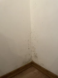 Засіб від плісняви з хлором 500 ml Jerelia (52419) фото від покупців 3