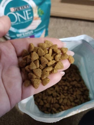 Сухий корм PURINA ONE Difficult Appetite для дорослих котів з вибірковим смаком у їжі з тріскою та фореллю 800 г фото від покупців 4