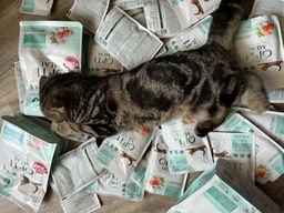 Сухой корм для котят Kitten Chicken курица 1 кг Optimeal фото от покупателей 2