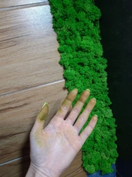 Стабилизированный мох ягель Nordic moss Зеленый травяной светлый 0,5 кг фото от покупателей 5
