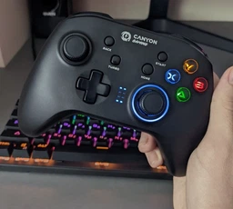 Беспроводной геймпад Canyon Wireless Gamepad 4-in-1 (CND-GPW3) фото от покупателей 4