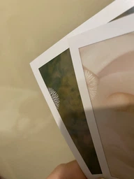 Фотоплівка Polaroid Color Film for i-Type (6000) фото від покупців 6