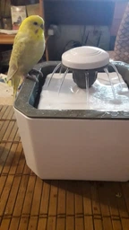 Фонтан напувалка автоматична для домашніх тварин Pet Water Fountain USB сіра