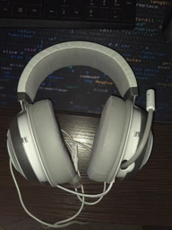 Навушники Razer Kraken Black (RZ04-02830100-R3U1) фото від покупців 11
