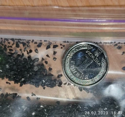 Кокосовый активированный уголь (КАУ), Бельгия, 0,5кг 60001