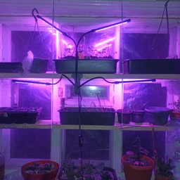 Светодиодная Фитолампа GrowLight для Выращивания Комнатных на 4 ветки Растение Full Spectrum (OJ146IU)