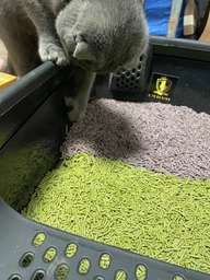 Туалет для кошек CAT ROYALE с рамкой и лопаткой 19х38х53 см Черный (8683454653651) фото от покупателей 19