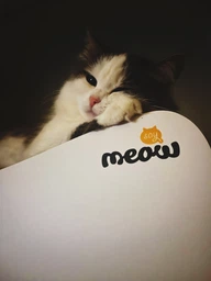 Кігтеточка (дряпка) - лежанка для кішок Say Meow Cloud 61х21х24 см (8040190102001)