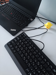 Клавиатура проводная A4Tech FK11 Fstyler Compact Size USB Grey (4711421953313) фото от покупателей 10
