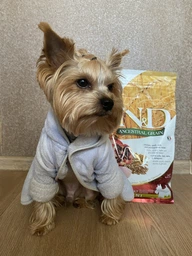 Низкозерновой сухой корм для собак мелких пород N&D LOW GRAIN DOG CHICKEN & POMEGRANATE ADULT MINI (курица/гранат), 7 кг фото от покупателей 1