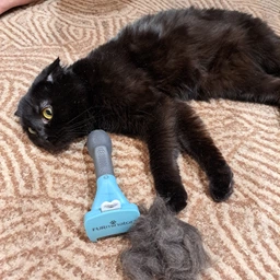 Фурминатор для котов с короткой шерстью FURminator размер S (691659) (4048422141198)