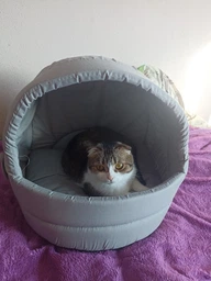 Будиночок/лежак для котів та собак Природа Comfort 44-43-40 см