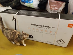 Электросамокат Xiaomi Mi Electric Scooter 1S Black (FBC4019GL/DDHBC05NEB) фото от покупателей 3