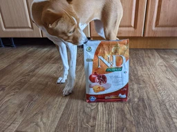 Беззерновой сухой корм Farmina N&D Pumpkin GF Dog Chicken&Pomegranate Adult Mini для собак мелких пород с курицей, тыквой и гранатом, 7 кг фото от покупателей 1