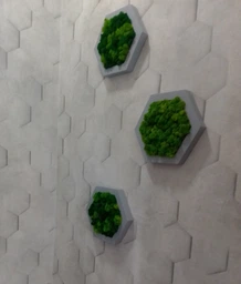 Соты со стабилизированым мхом MiNature Moss 20см 1шт.
