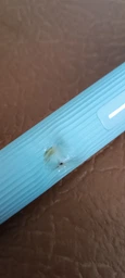Електрична зубна щітка Xiaomi ENCHEN Mint5 Sonik Blue (MINT5-B) фото від покупців 5