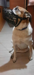 Trixie Muzzle намордник для собак L - чорний фото от покупателей 6