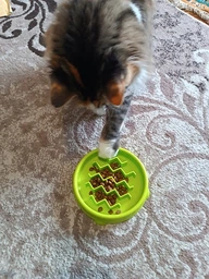 Миска-лабіринт для котів Petstages Cat Fun Feeder Wave XS Салатова (pt69717)