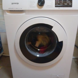 Стиральная машина Gorenje WHP60SF/UA фото от покупателей 17
