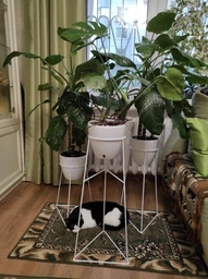 Комплект металлических подставок для цветов и вазонов Adore Décor "Скандинавские", черный фото от покупателей 6