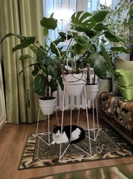 Комплект металлических подставок для цветов и вазонов Adore Décor "Скандинавские", черный фото от покупателей 5