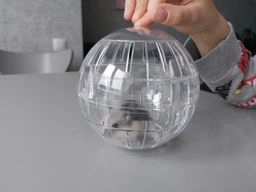 Прогулянкова куля для гризунів Savic Runner Small 12 см Синій (0197)