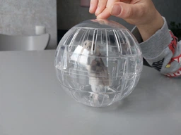 Прогулянкова куля для гризунів Savic Runner Small 12 см Синій (0197) фото від покупців 1