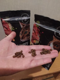Корм сухий Savory Adult Cat Steril Fresh Lamb and Chicken для стерилізованих котів зі свіжим ягням і куркою 8 кг