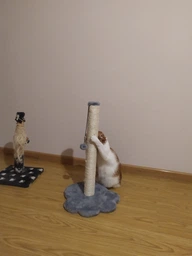 Когтеточка для кошек Lucky Pet "Лапка большая" сизаль серая, мех белый 38х38х66см фото от покупателей 9