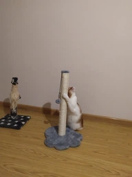 Когтеточка для кошек Lucky Pet "Лапка большая" сизаль серая, мех белый 38х38х66см фото от покупателей 8
