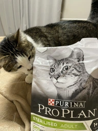 Сухий корм для кішок Purina Pro Plan Sterilised з кроликом 10 кг (7613033566486) фото від покупців 1