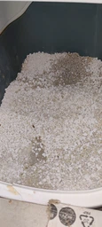 Наповнювач Catsan Hygiene plus гігієнічний для котів, Мінеральний поглинаючий 3уп*10л фото від покупців 10