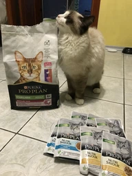 Сухий корм для стерилізованих котів Purina Pro Plan Sterilised Adult 1+ Savoury Duo Пуріна Проплан з качкою та печінкою 1,5 кг (7613036732369) фото от покупателей 18